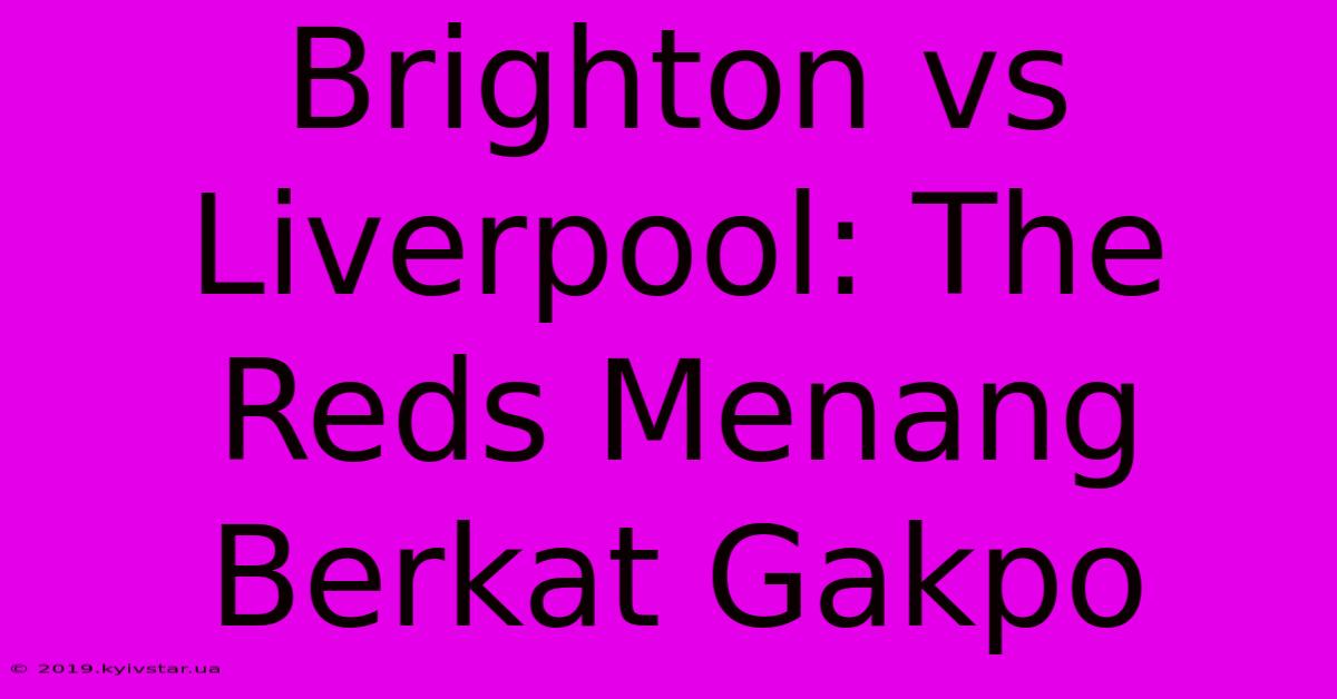 Brighton Vs Liverpool: The Reds Menang Berkat Gakpo