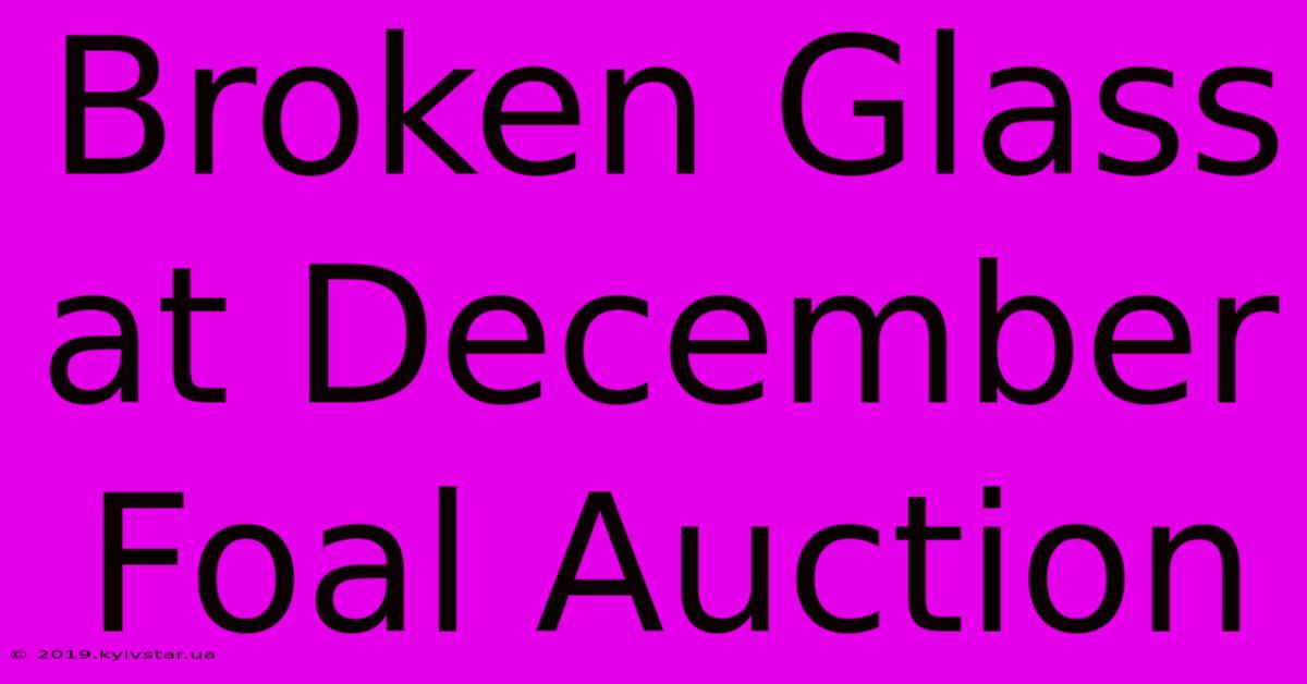 Broken Glass At December Foal Auction