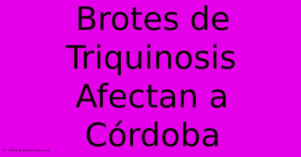 Brotes De Triquinosis Afectan A Córdoba