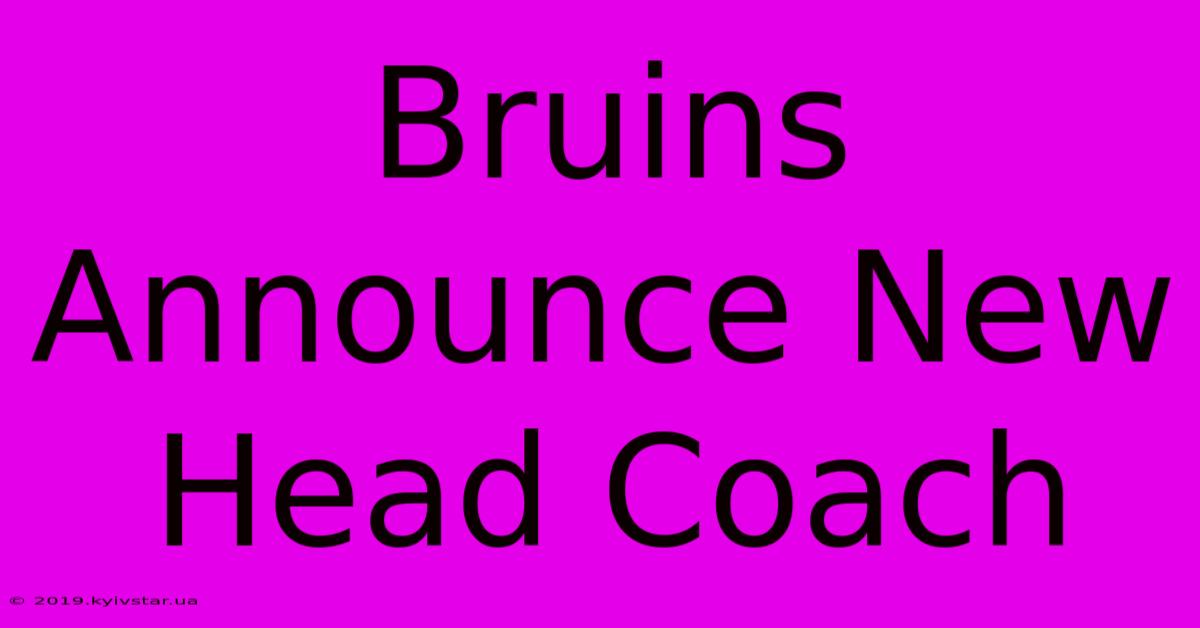 Bruins Announce New Head Coach