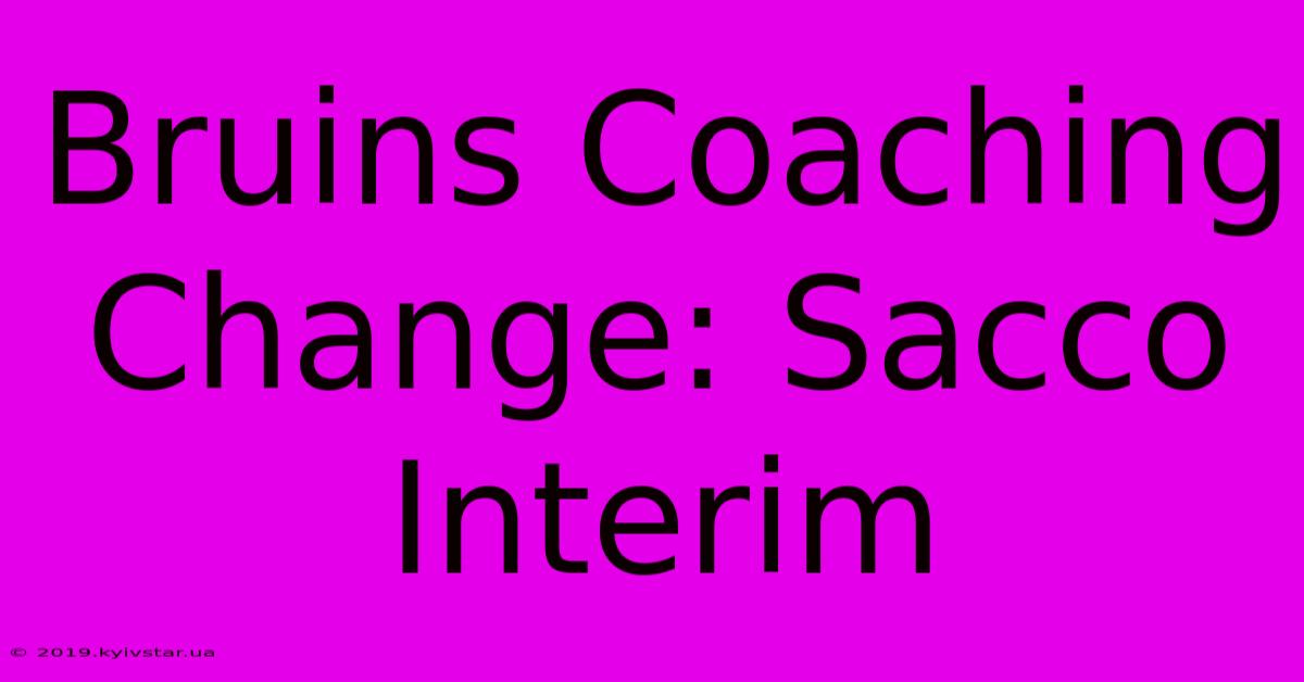 Bruins Coaching Change: Sacco Interim