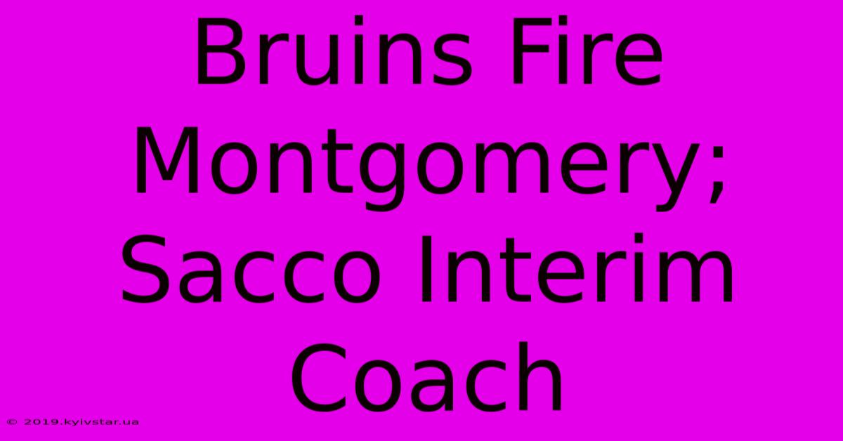 Bruins Fire Montgomery; Sacco Interim Coach