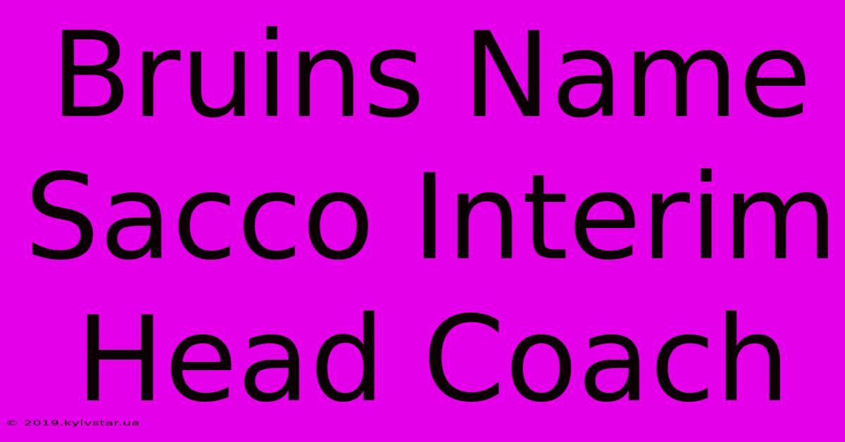 Bruins Name Sacco Interim Head Coach