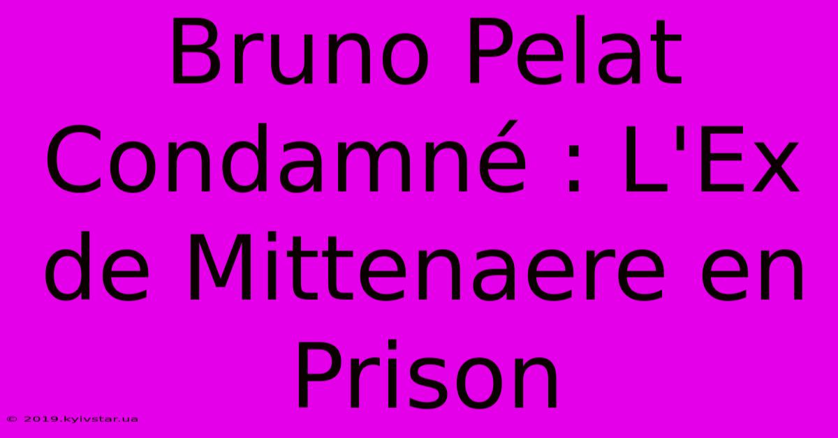 Bruno Pelat Condamné : L'Ex De Mittenaere En Prison