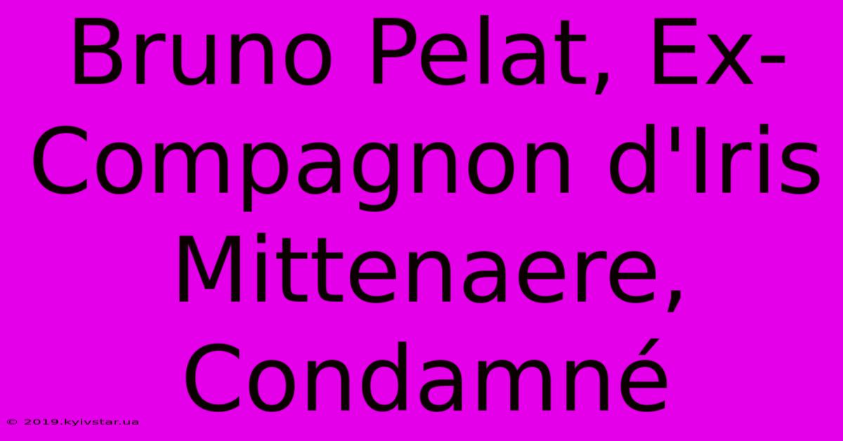 Bruno Pelat, Ex-Compagnon D'Iris Mittenaere, Condamné