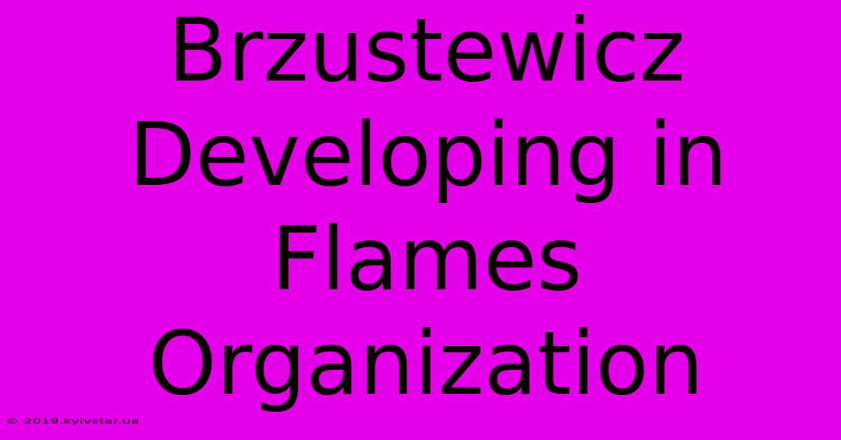 Brzustewicz Developing In Flames Organization