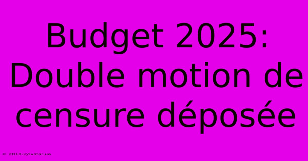 Budget 2025: Double Motion De Censure Déposée