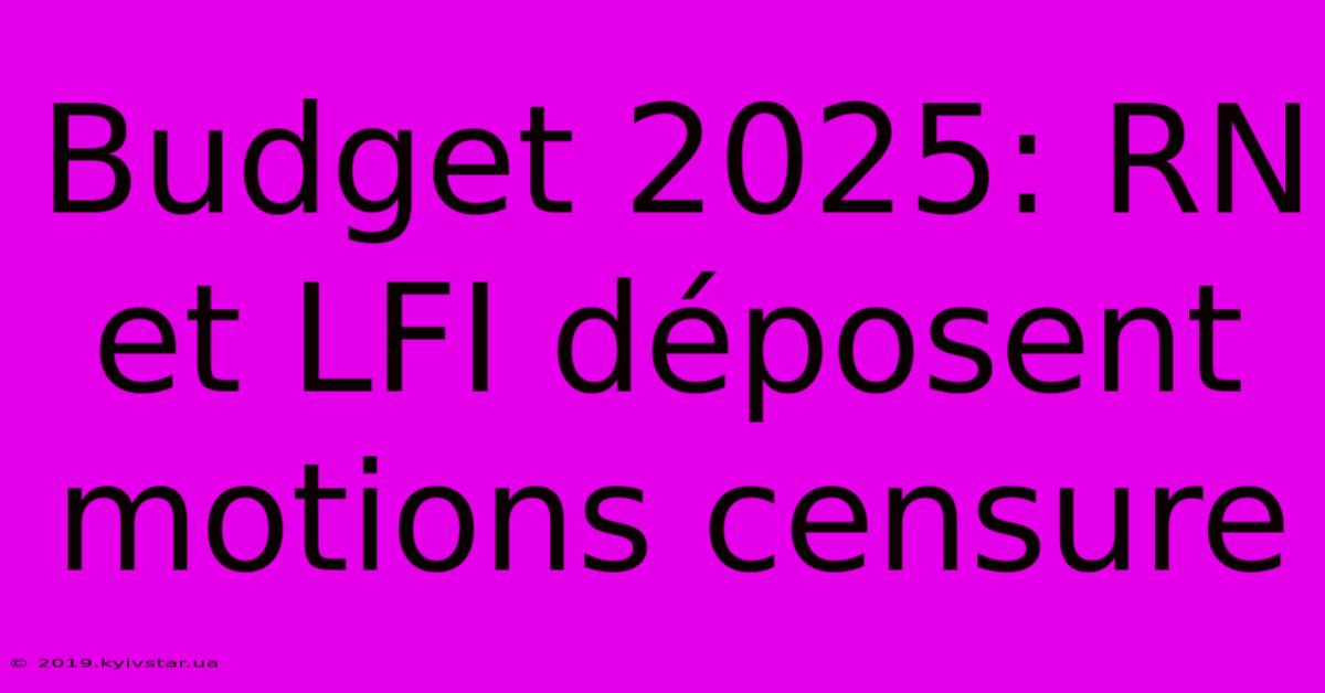 Budget 2025: RN Et LFI Déposent Motions Censure