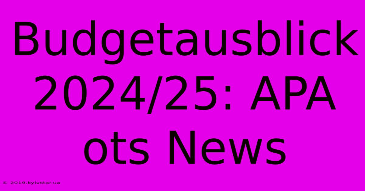 Budgetausblick 2024/25: APA Ots News