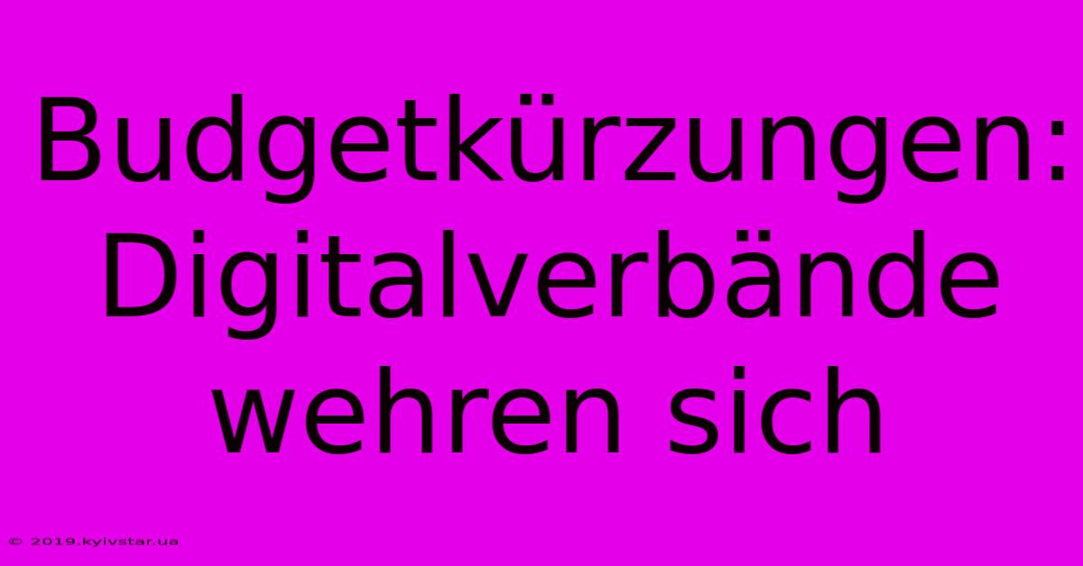 Budgetkürzungen: Digitalverbände Wehren Sich