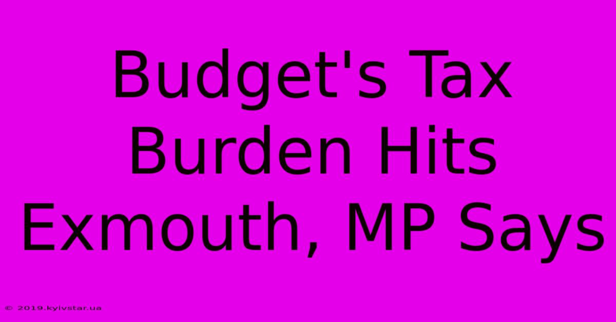 Budget's Tax Burden Hits Exmouth, MP Says 