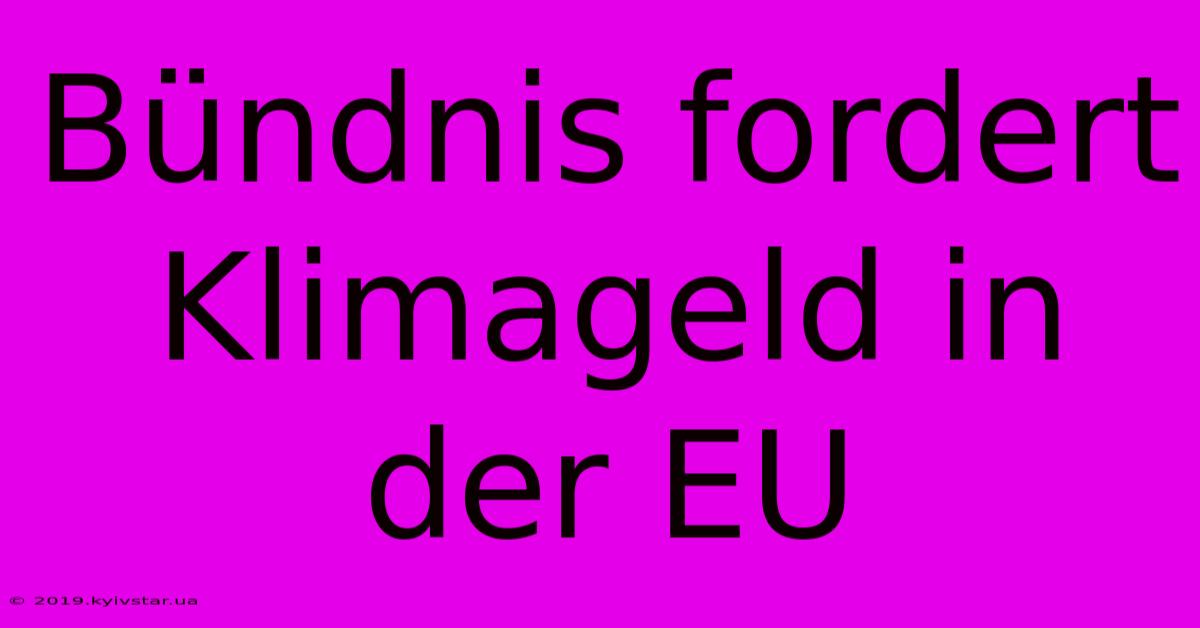 Bündnis Fordert Klimageld In Der EU