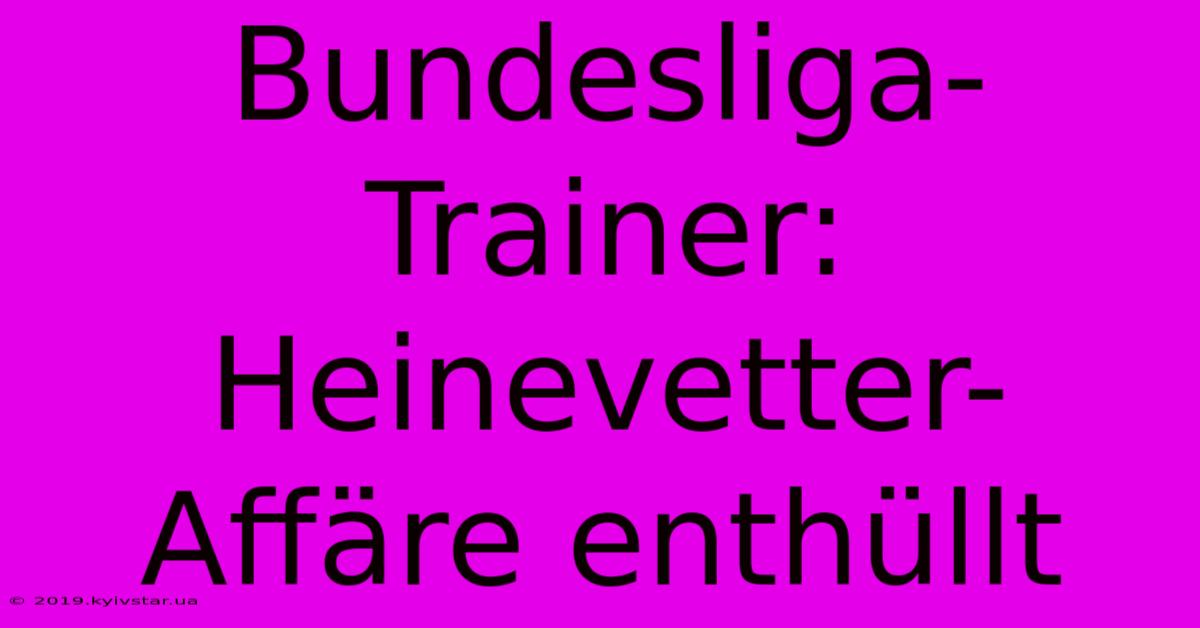 Bundesliga-Trainer: Heinevetter-Affäre Enthüllt