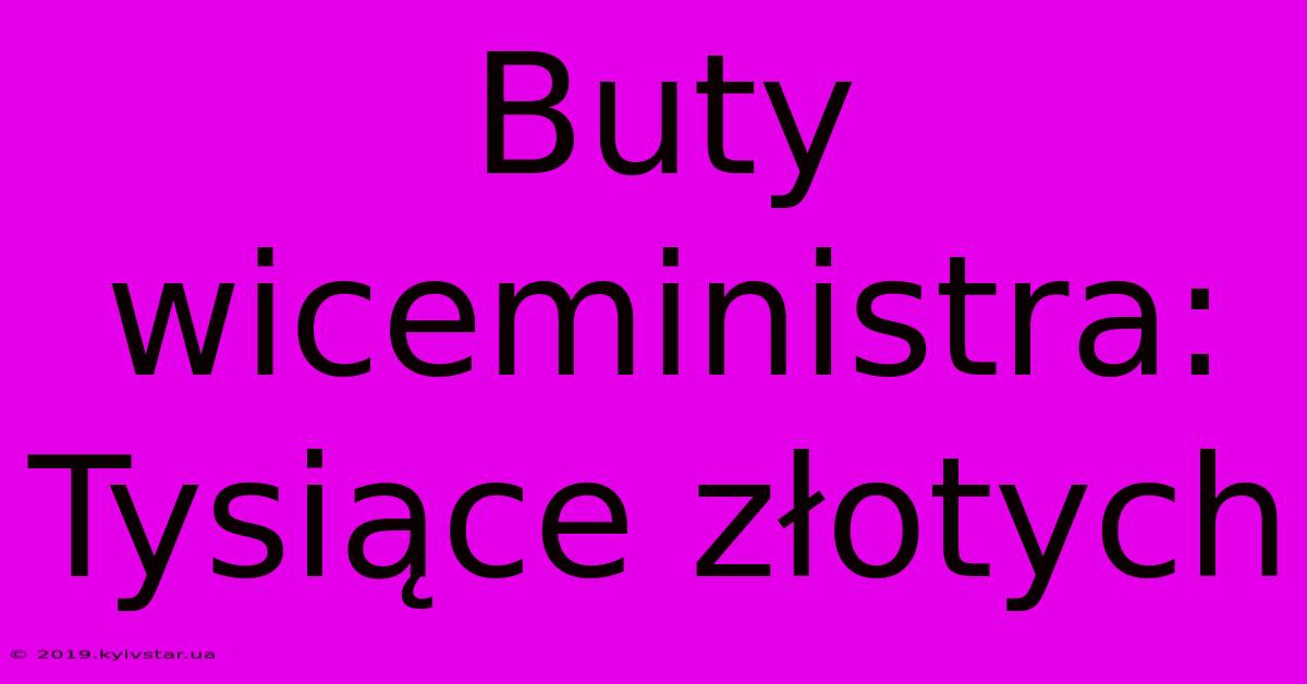 Buty Wiceministra: Tysiące Złotych