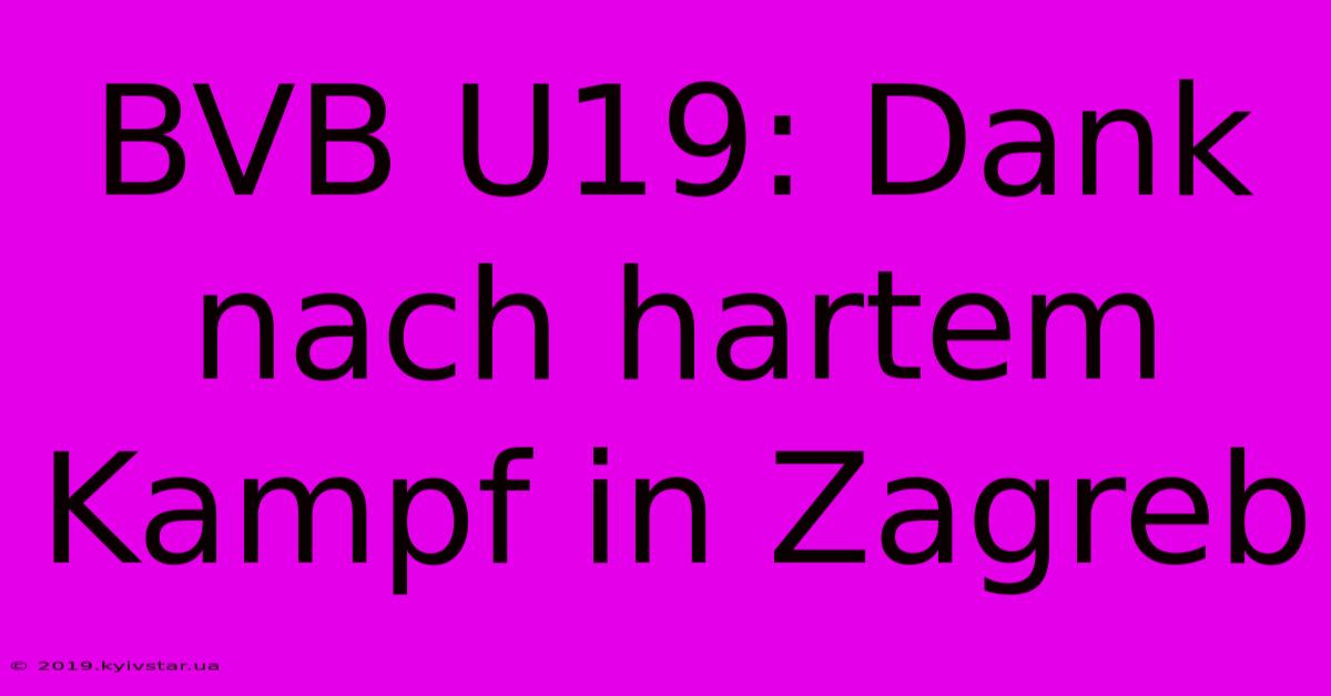 BVB U19: Dank Nach Hartem Kampf In Zagreb