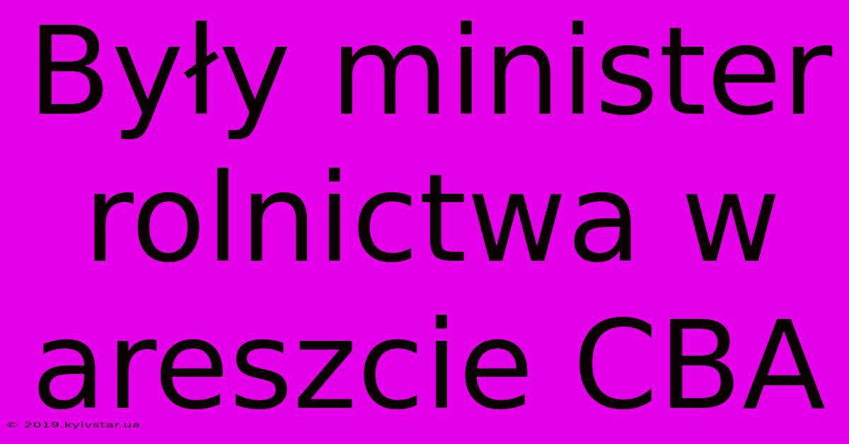 Były Minister Rolnictwa W Areszcie CBA