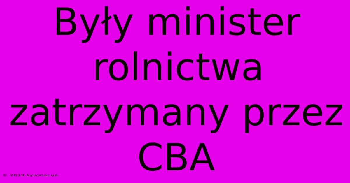 Były Minister Rolnictwa Zatrzymany Przez CBA