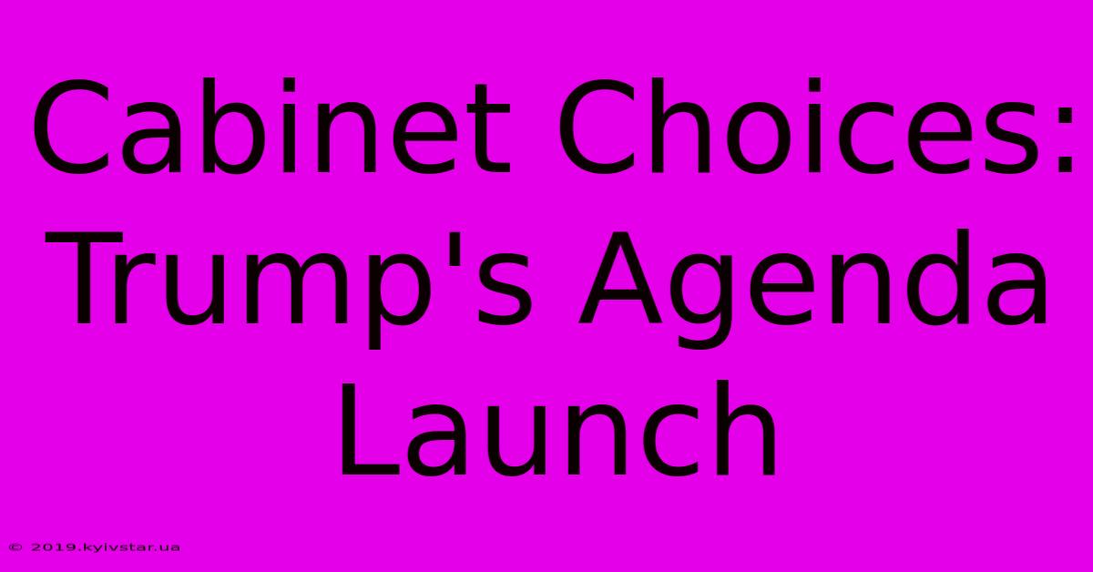 Cabinet Choices: Trump's Agenda Launch 