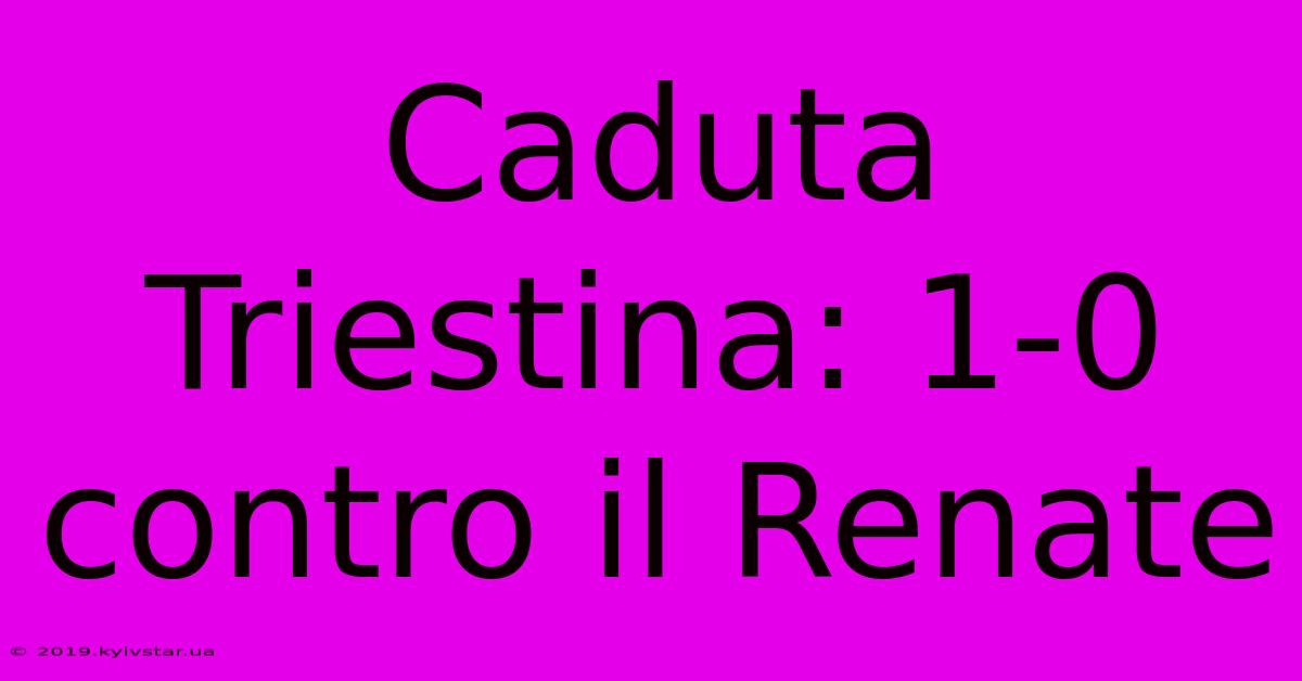 Caduta Triestina: 1-0 Contro Il Renate