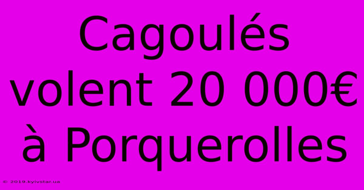 Cagoulés Volent 20 000€ À Porquerolles