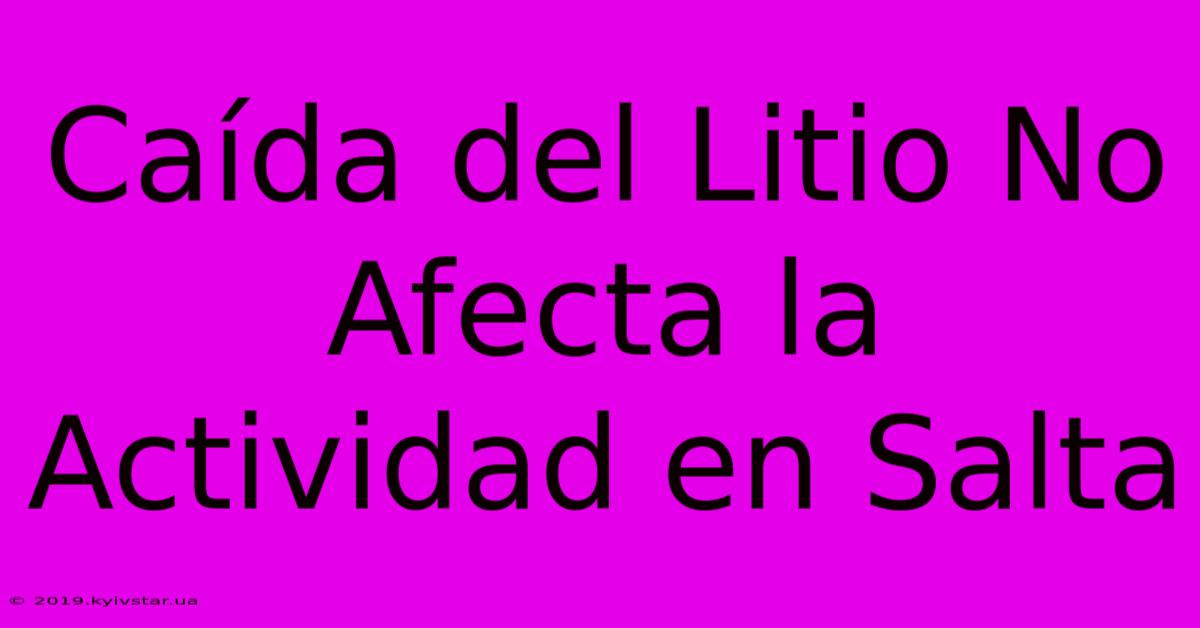 Caída Del Litio No Afecta La Actividad En Salta