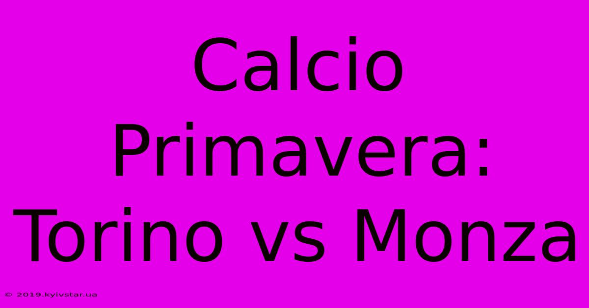 Calcio Primavera: Torino Vs Monza