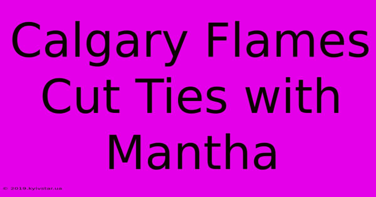 Calgary Flames Cut Ties With Mantha 