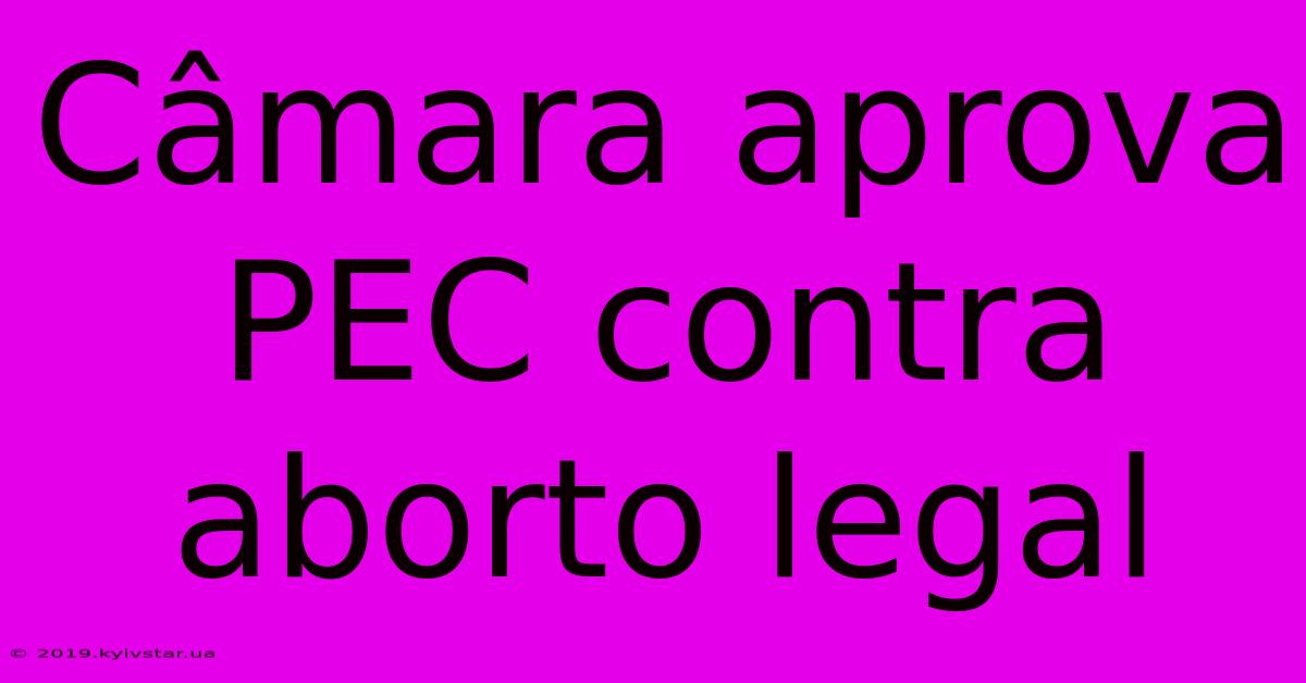 Câmara Aprova PEC Contra Aborto Legal