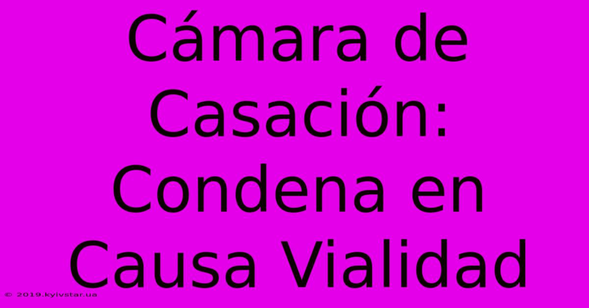 Cámara De Casación: Condena En Causa Vialidad