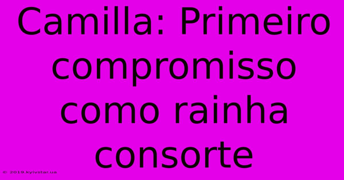 Camilla: Primeiro Compromisso Como Rainha Consorte