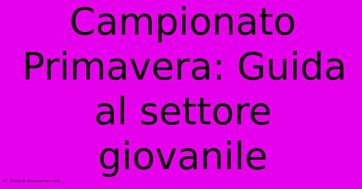 Campionato Primavera: Guida Al Settore Giovanile