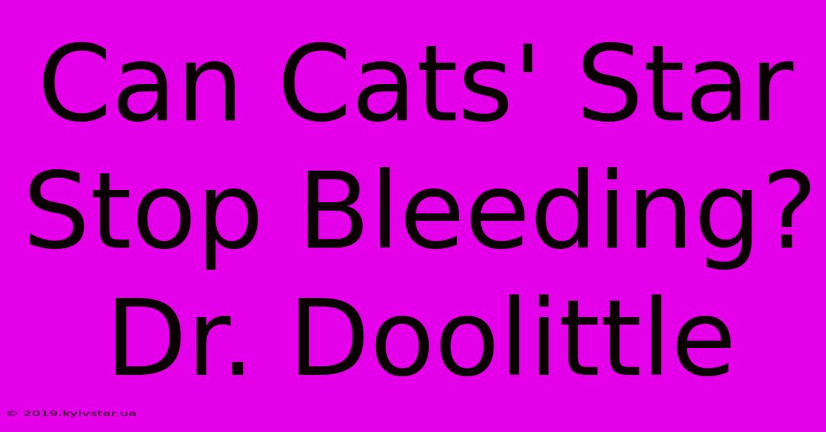 Can Cats' Star Stop Bleeding? Dr. Doolittle