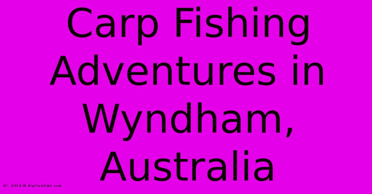 Carp Fishing Adventures In Wyndham, Australia