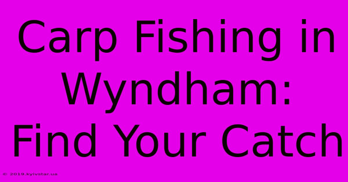 Carp Fishing In Wyndham: Find Your Catch