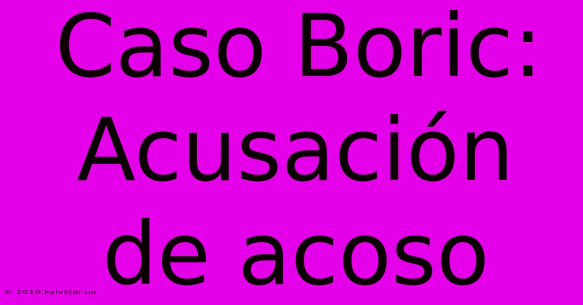 Caso Boric: Acusación De Acoso