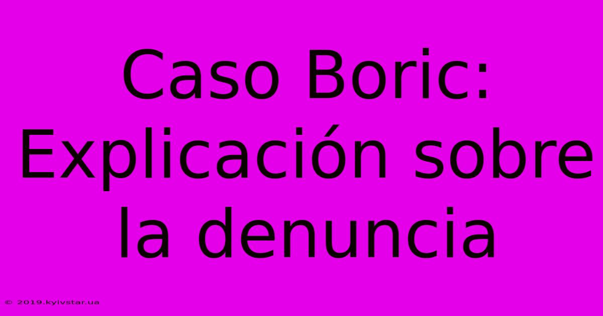 Caso Boric: Explicación Sobre La Denuncia