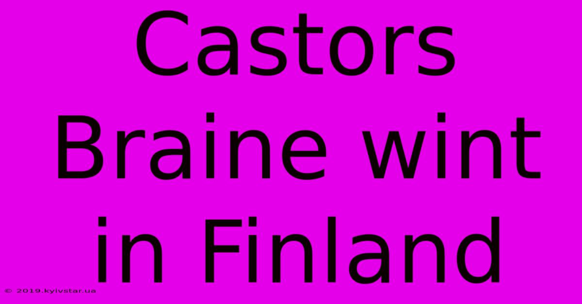 Castors Braine Wint In Finland