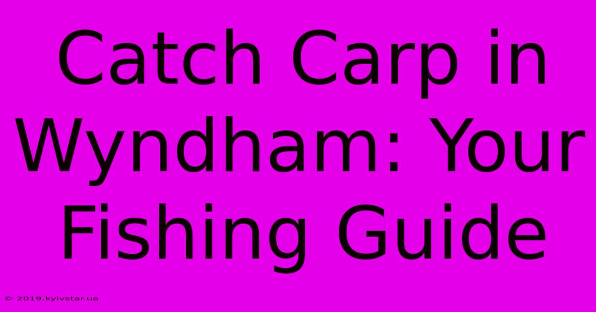 Catch Carp In Wyndham: Your Fishing Guide 