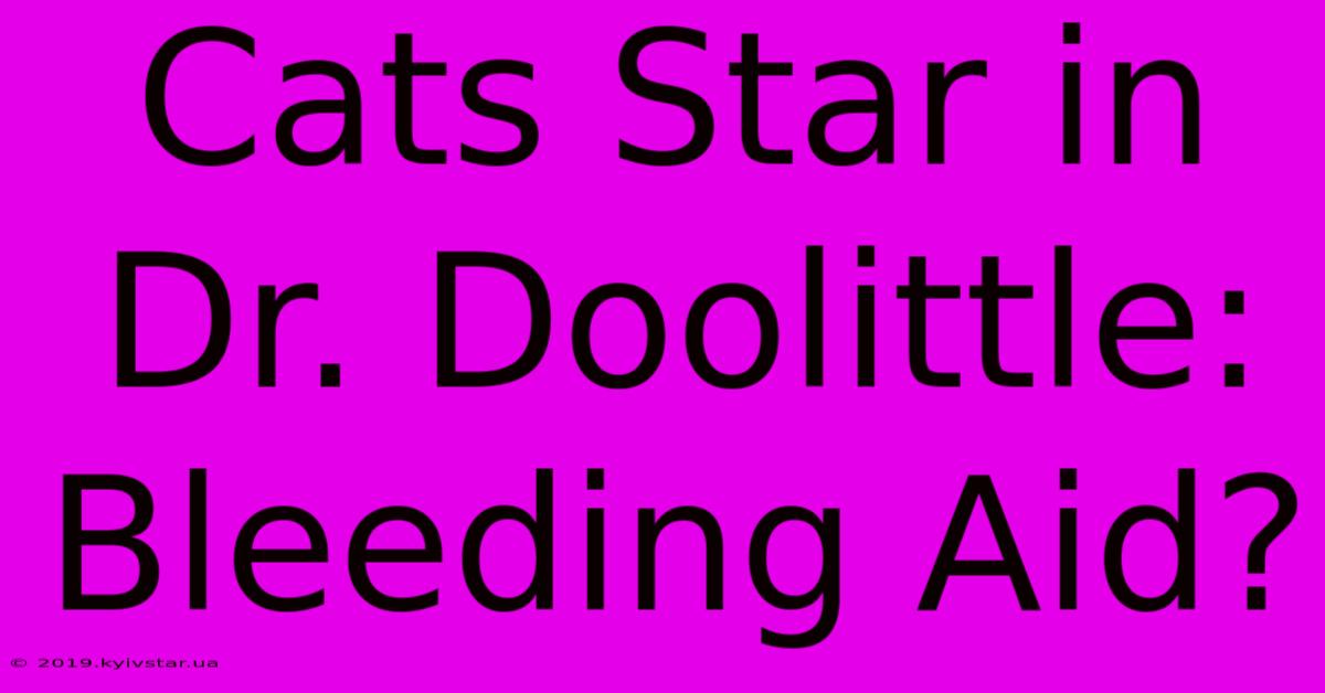 Cats Star In Dr. Doolittle: Bleeding Aid?