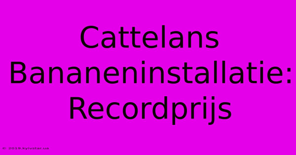 Cattelans Bananeninstallatie: Recordprijs