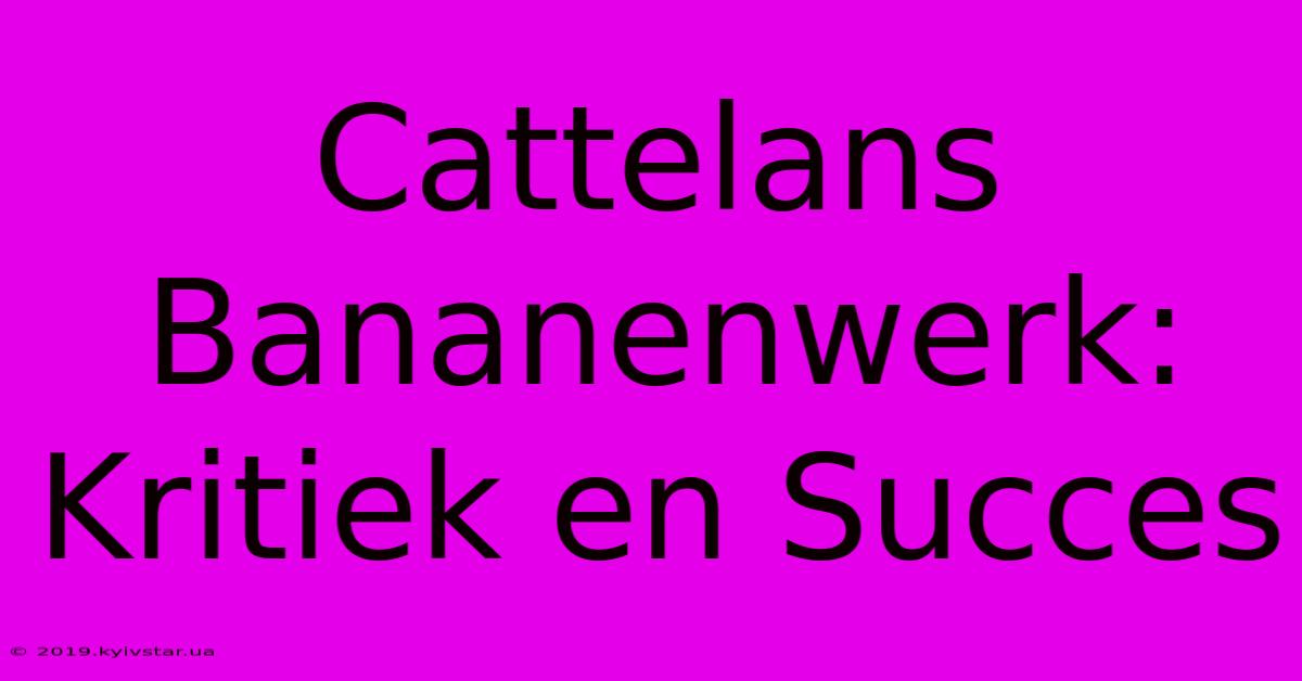 Cattelans Bananenwerk:  Kritiek En Succes