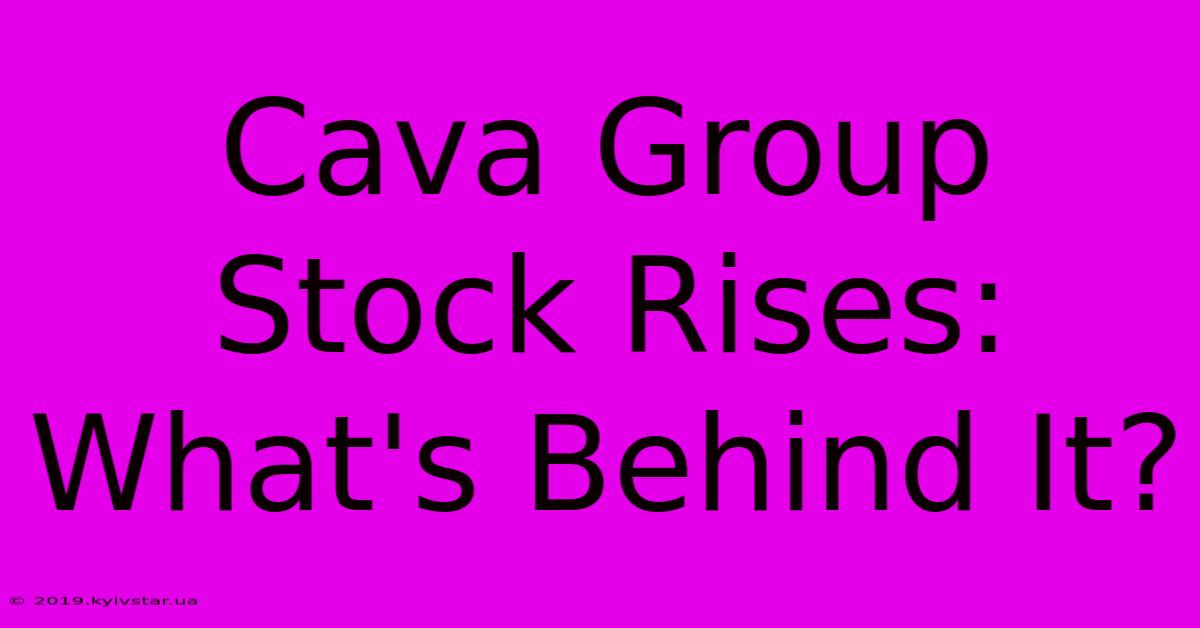 Cava Group Stock Rises: What's Behind It?