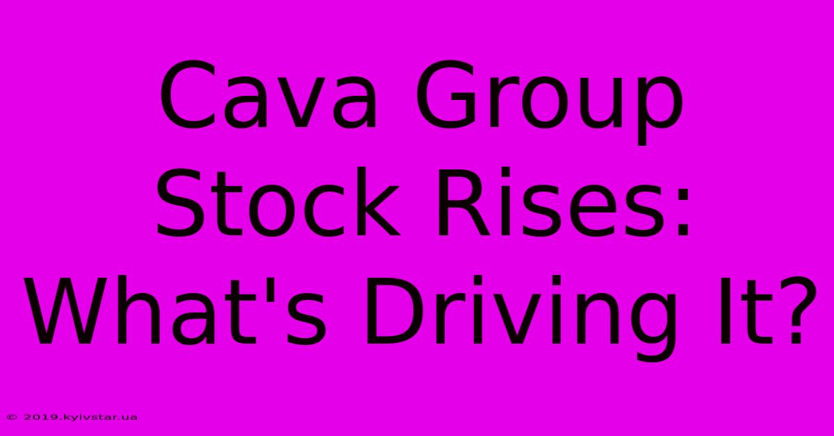 Cava Group Stock Rises: What's Driving It?