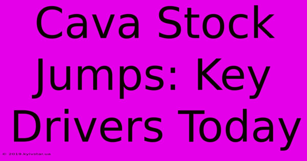 Cava Stock Jumps: Key Drivers Today