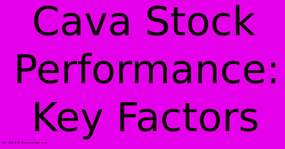 Cava Stock Performance: Key Factors 