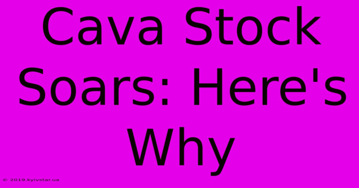 Cava Stock Soars: Here's Why