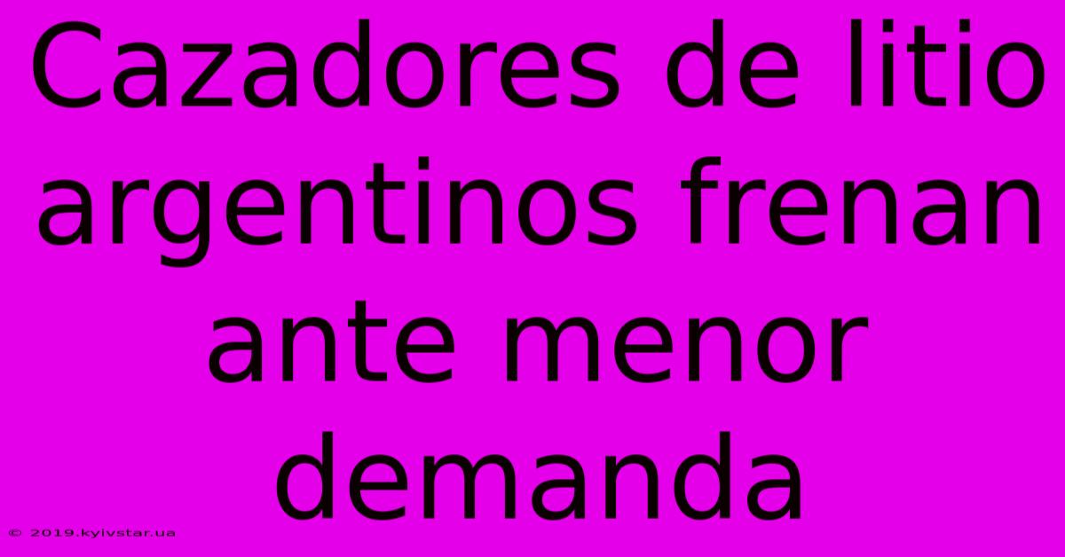 Cazadores De Litio Argentinos Frenan Ante Menor Demanda
