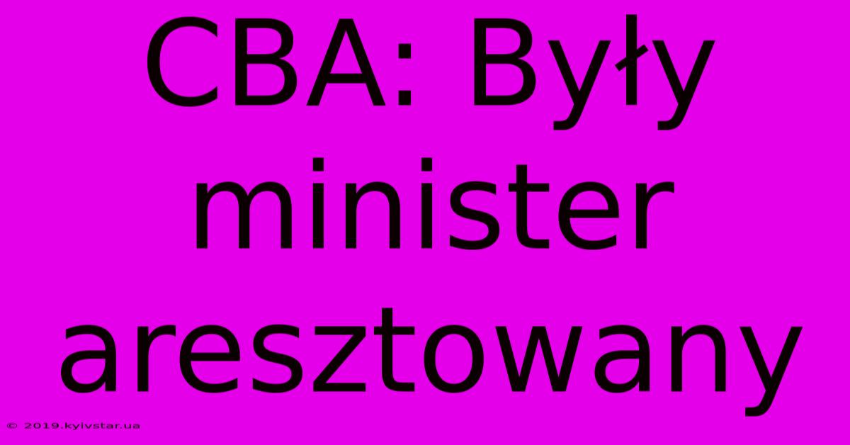 CBA: Były Minister Aresztowany