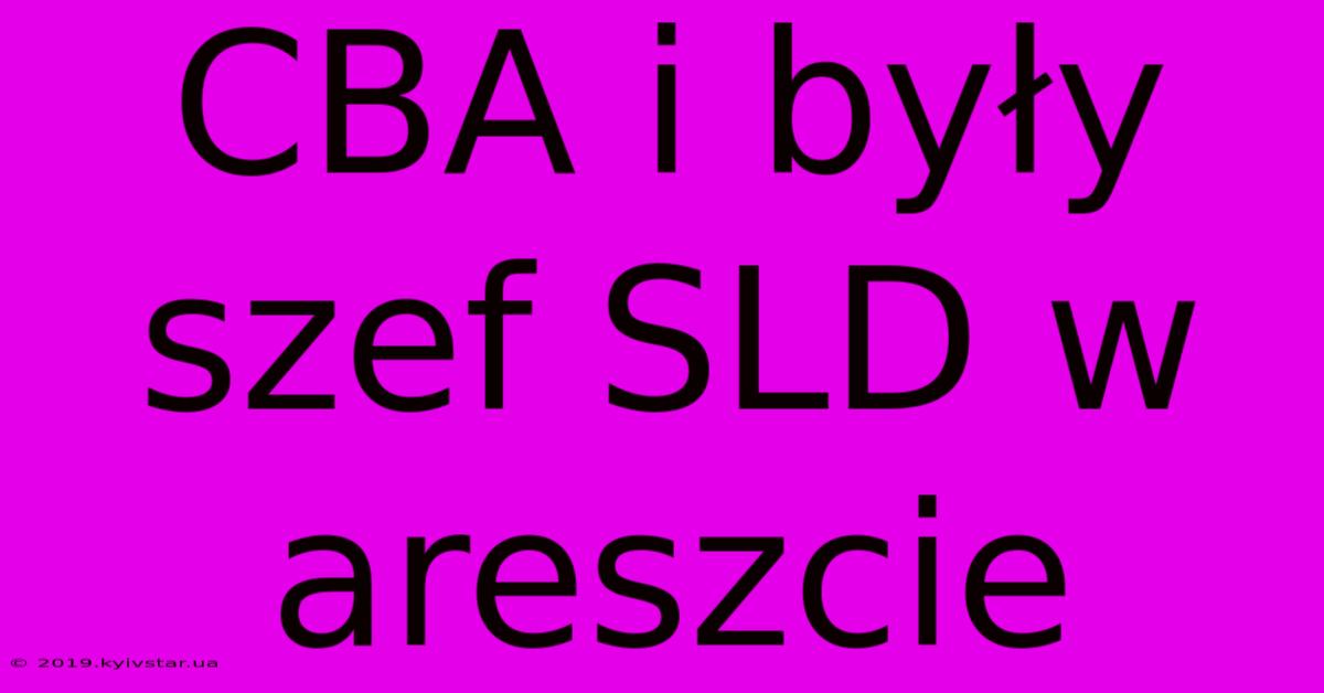 CBA I Były Szef SLD W Areszcie