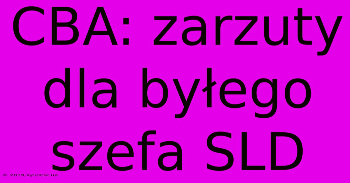 CBA: Zarzuty Dla Byłego Szefa SLD